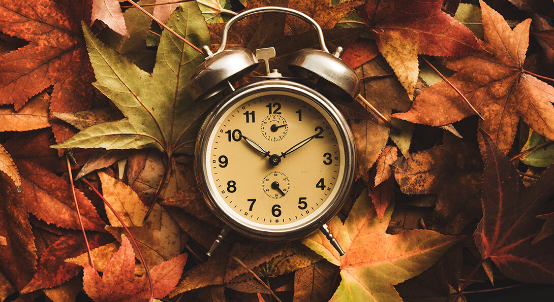 An alarm clock lying on a bed of autumn colored leaves.