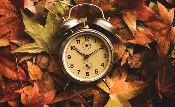 An alarm clock lying on a bed of autumn colored leaves.