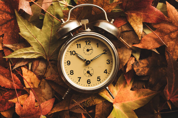 An alarm clock lying on a bed of autumn colored leaves.